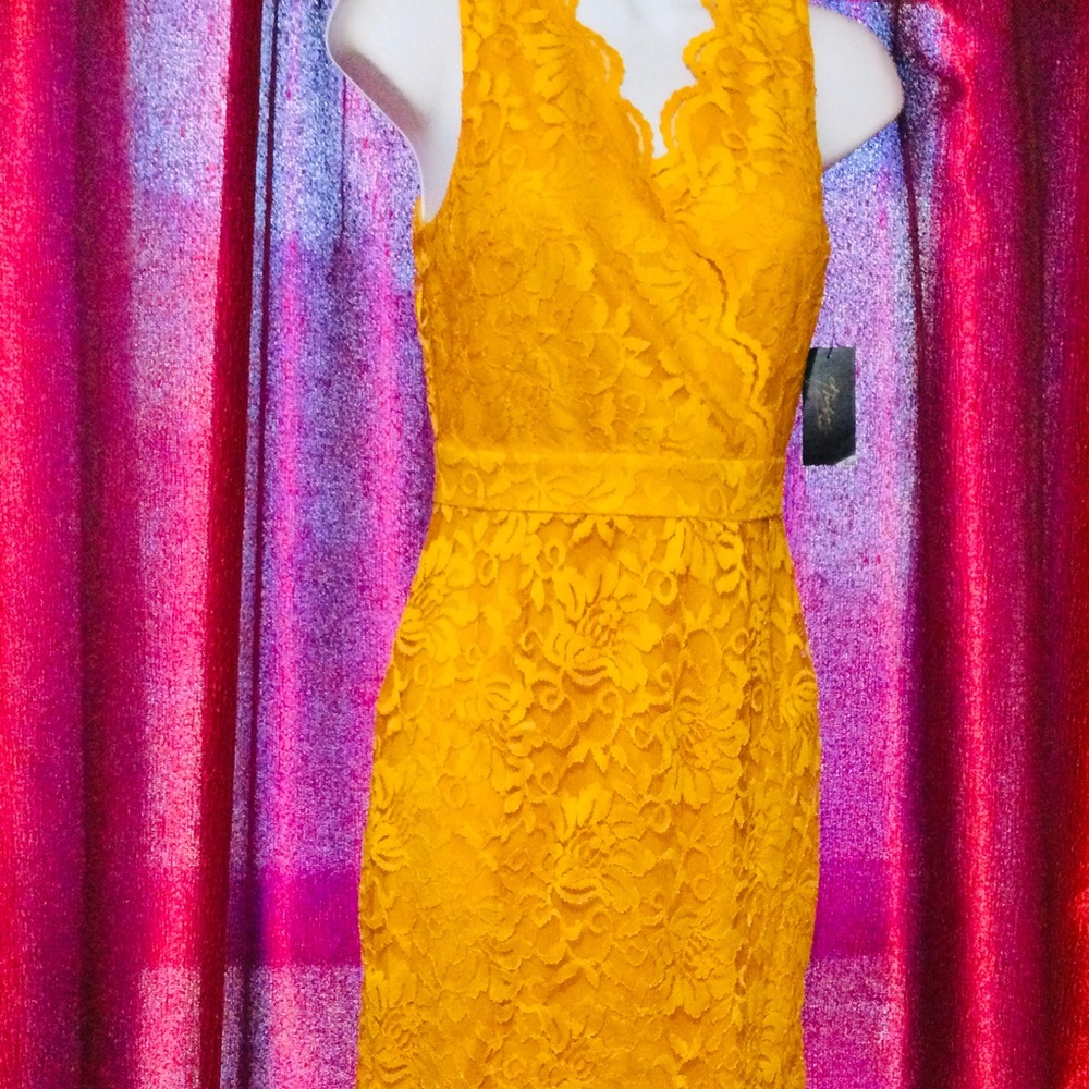 NWT : THALIA SODI SLEEVELESS LACE FLORAL DRESS/MANGO/SIZE XS/&/M